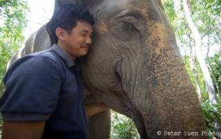 Keeper Sitheng with Lucky the elephant at Phnom Tamao Wildlife Rescue Centre Cambodia Wildlife Alliance