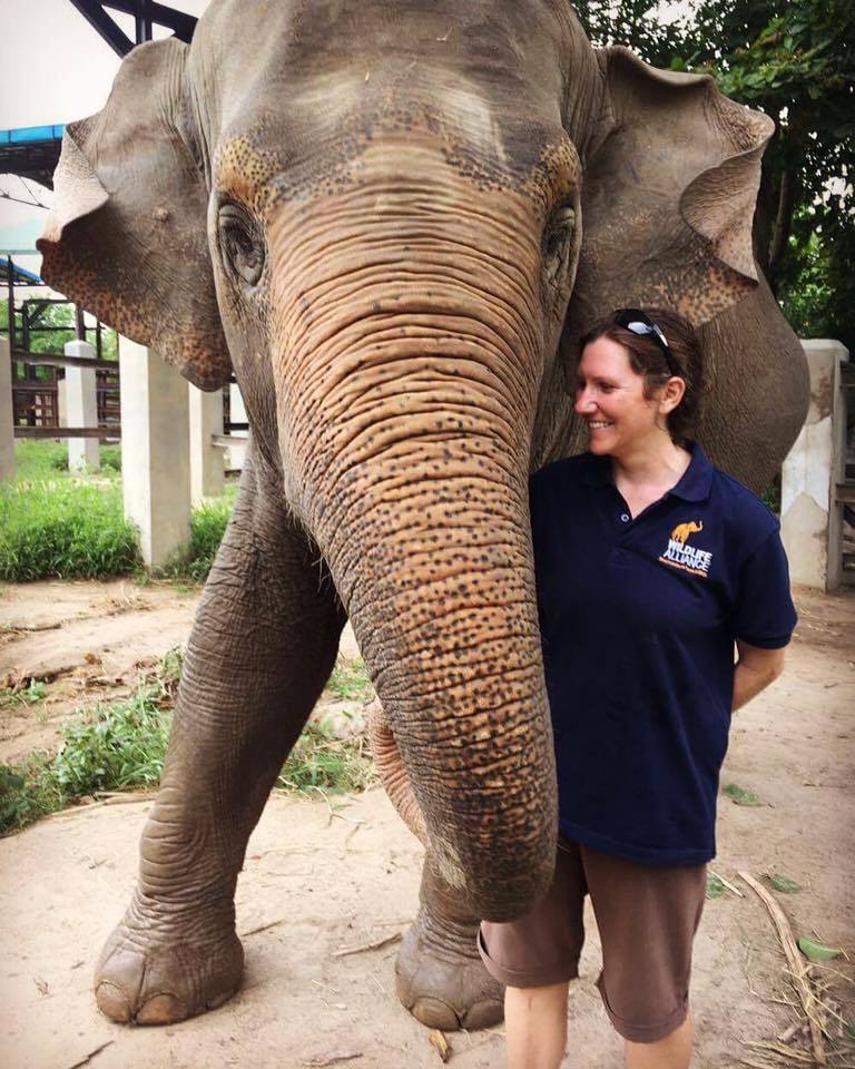 Phnom Tamao Wildlife Rescue Center team Lucky elephant