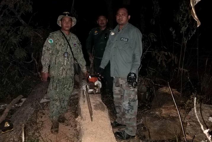 illegal chainsaws Cambodia