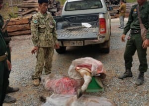 2018.03.23 – Rangers catch Endangered Banteng Hunter 4 crop – Chambak Station