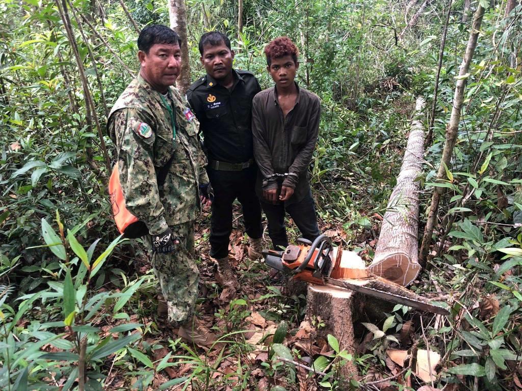 Logger arrested in Cambodia