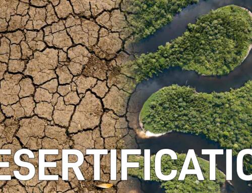 Desertification and Drought: An Issue Even in the Tropical Zone