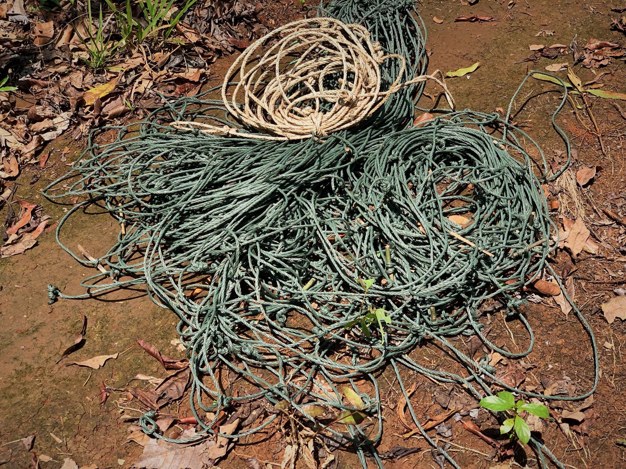Snares are lethal weapons that trap and kill animals - Wildlife Alliance