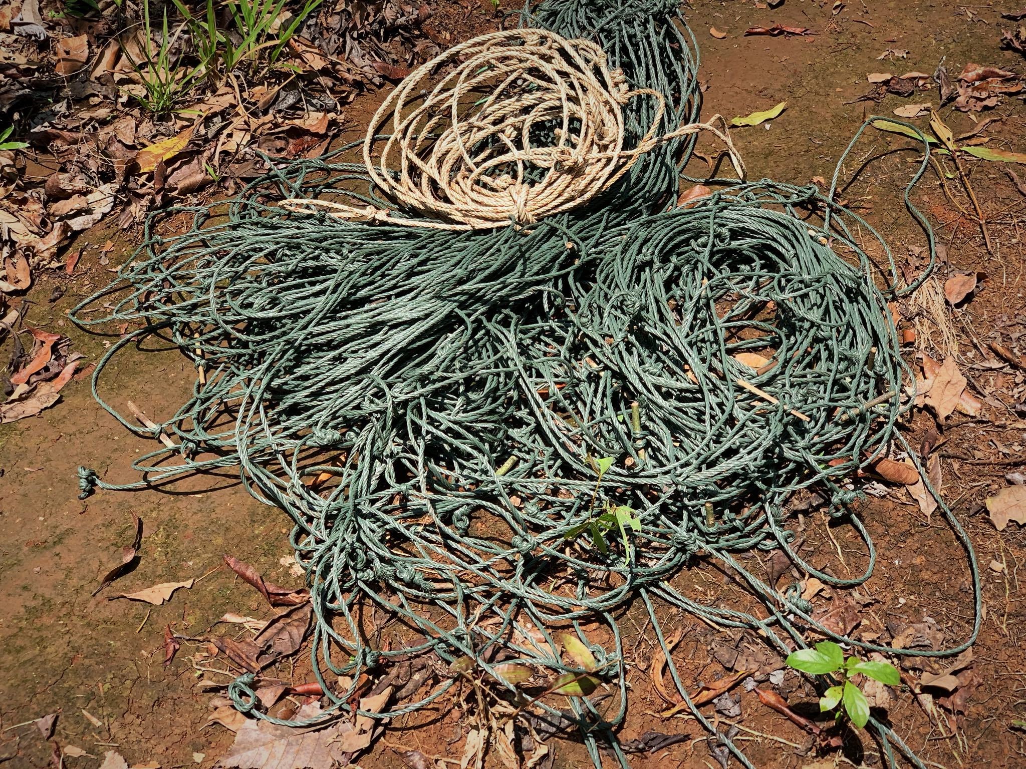 Snares are lethal weapons that trap and kill animals - Wildlife Alliance Snares are lethal weapons that trap and kill animals - Wildlife Alliance