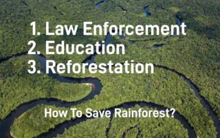 Ways to save rainforest picture