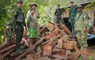 Luxury timber Dealer detained