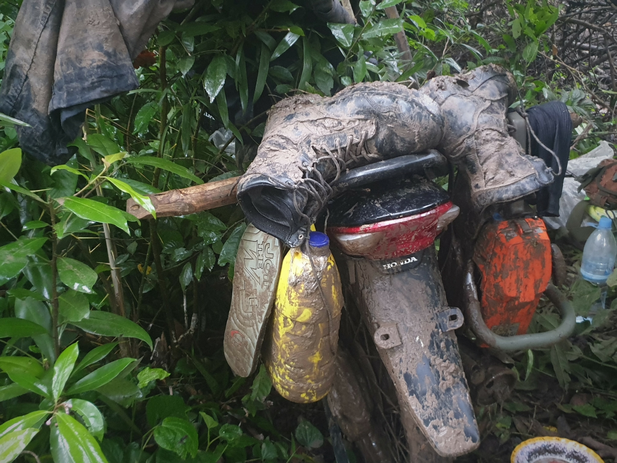 Wildlife Alliance illegal logging Cardamom National Park