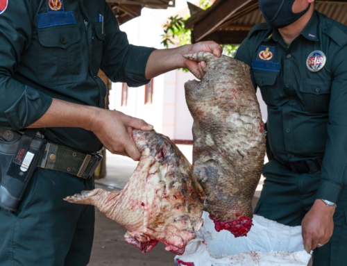 Calls for an end to Cambodia’s wildlife trade in response to the coronavirus