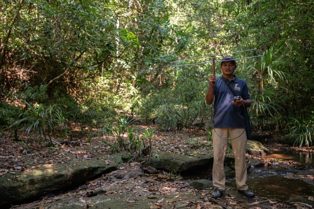 Tracking the Sunda Pangolin Conservation
