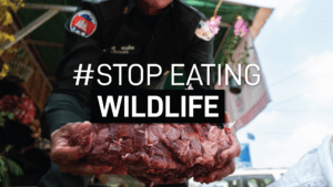 Wildlife Alliance launches the #StopEatingWildlife Campaign