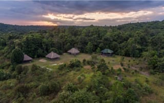 Wildlife Alliance - Wildlife Alliance Release Station in Koh Konh picture