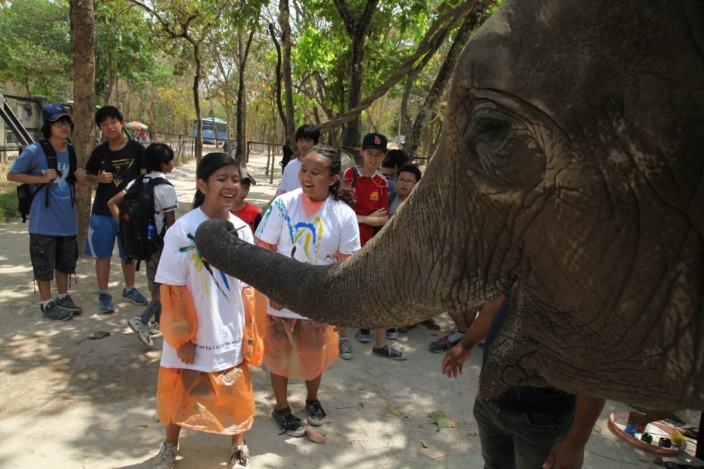 Lucky the elephant painting t shirts