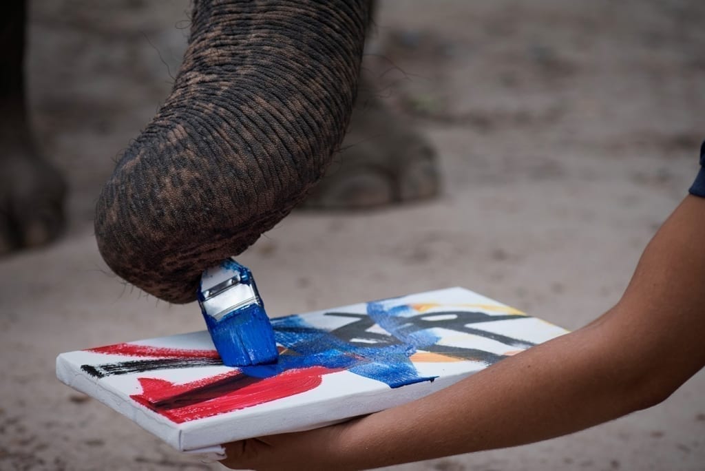 Lucky the Elephant artwork
