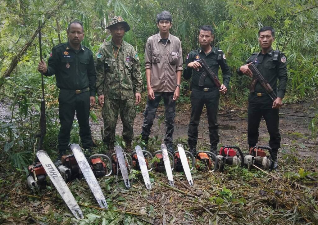 Wildlife Alliance Illegal Chainsaws confiscated by rangers