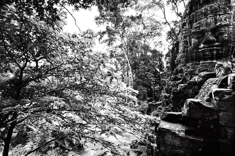 Bayon temple within the Angkor Archaeological Park and surrounding forest. Credit: Jeremy Holden