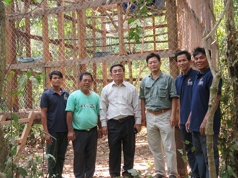 The next pair of Pilated Gibbons in their acclimatisation enclosure before release