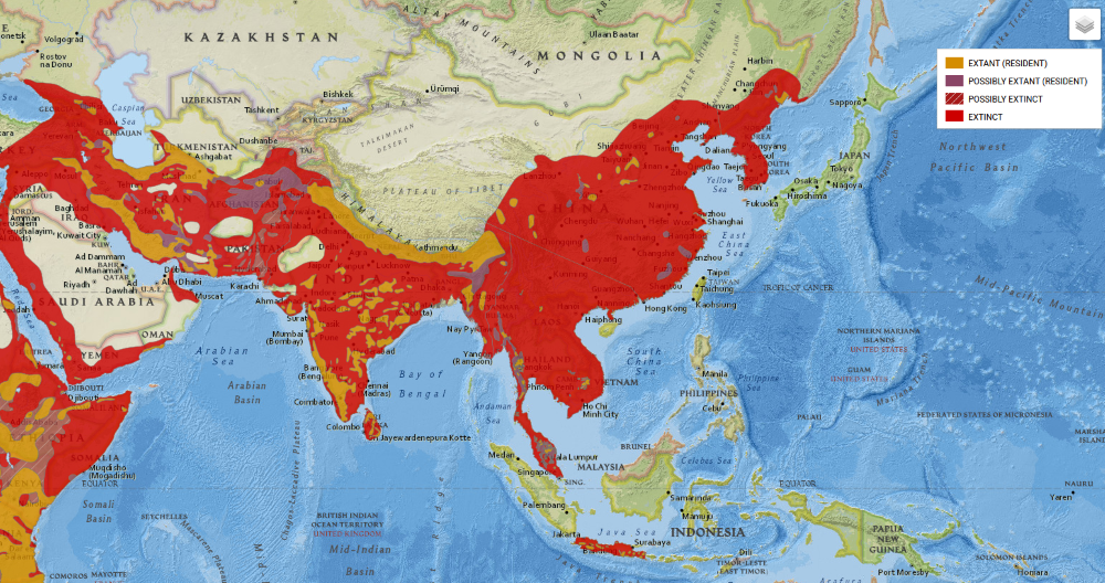 Leopard range map Peter Gerngross 2019. Panthera pardus. The IUCN Red List of Threatened Species. Version 2021-1