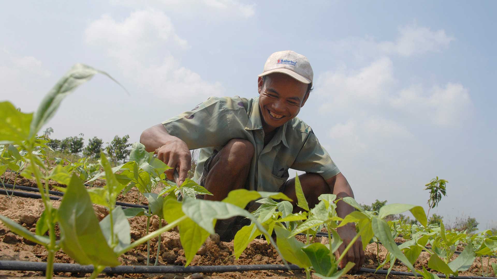 Livelihood and Community in Cambodia start-up funds
