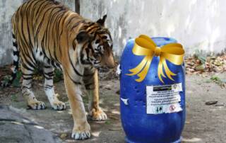 Gifts that keep on Giving at Phnom Tamao Wildlife Rescue Centre