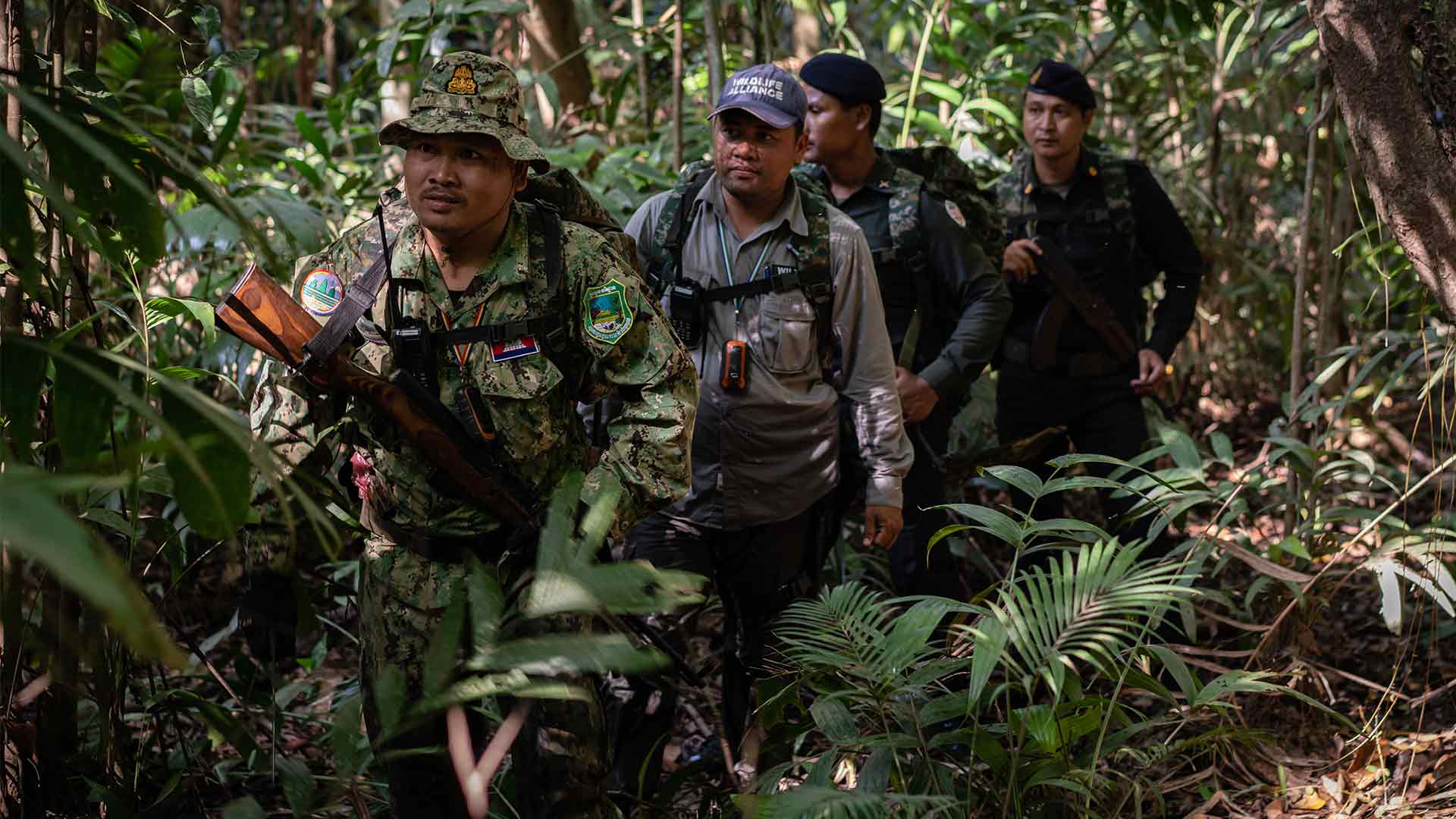 World Ranger Day jungle patrol