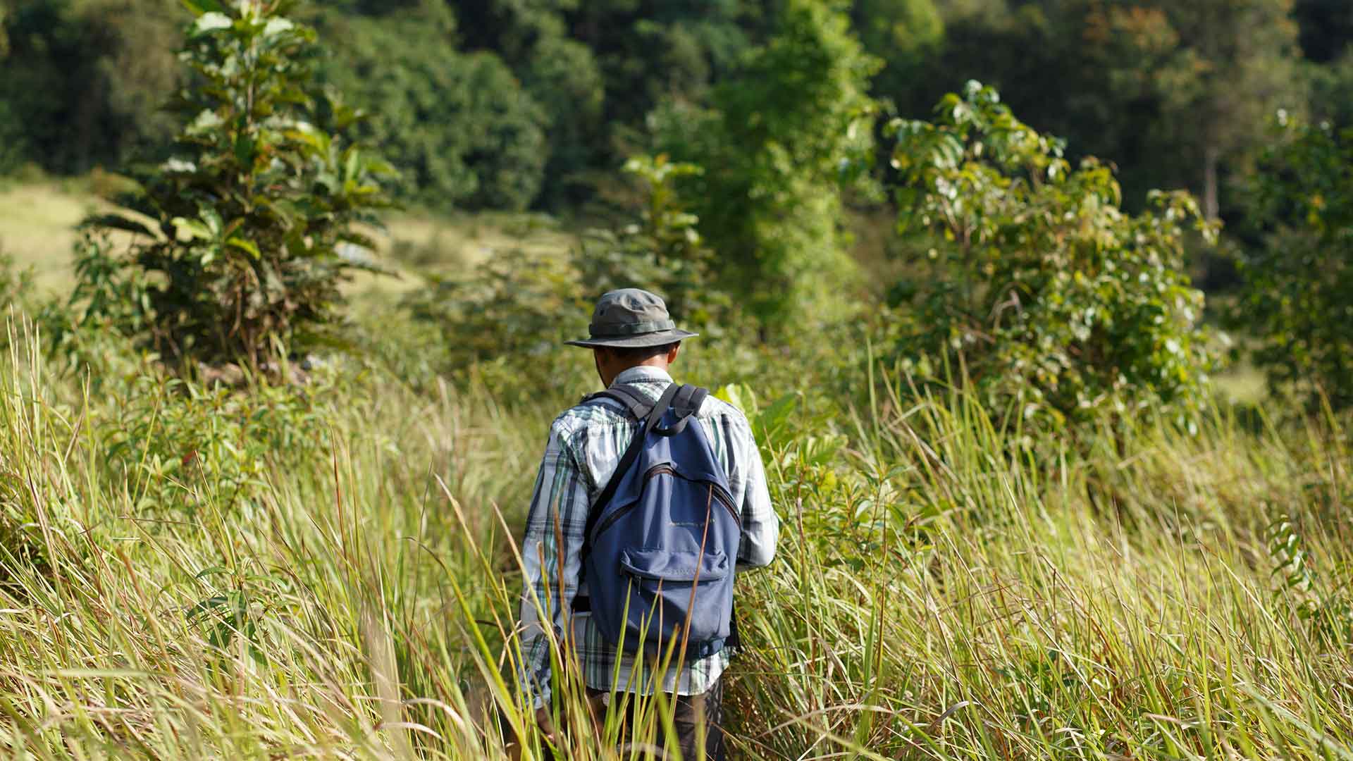 Trekking at the Wildlife Release Station