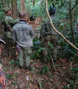 Wildlife Alliance rangers watch over the Sun Bear