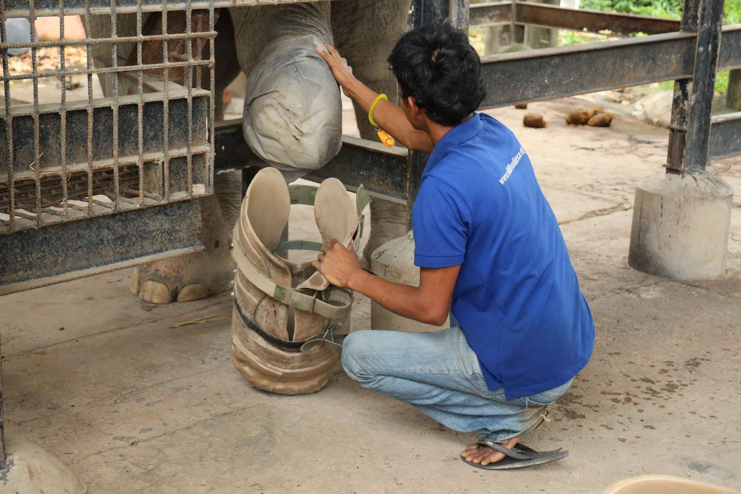 Elephant Shoe