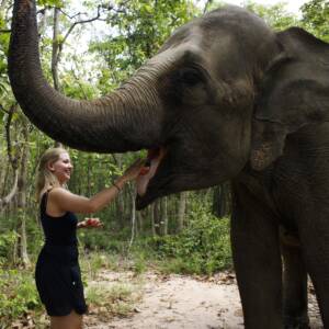 Phnom Tamao Wildlife Rescue Centre