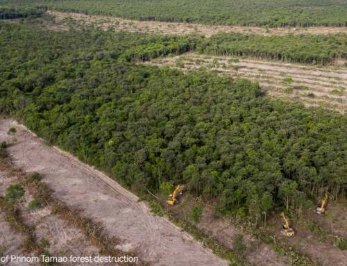 Phnom Tamao Forest Saved from Developers