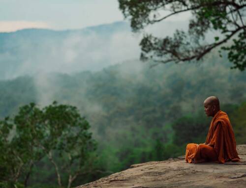 Wildlife Alliance celebrates Cambodia’s Independence Day recognizing preservation of Southern Cardamom Rainforest