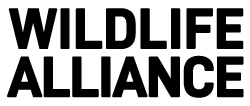 Wildlife Alliance