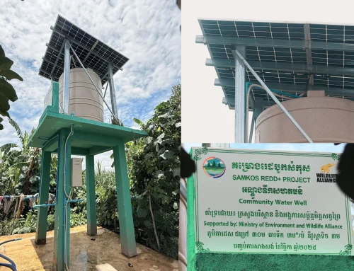 Solar-Powered Wells Bring Clean Water to Over 1,200 Families